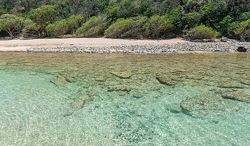 Plage de l'Anse du Vieux Fort in commune of Sainte-Rose, Guadeloupe, France