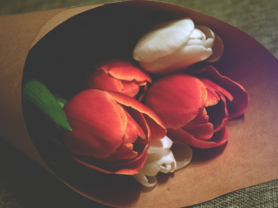 File:White and red tulip bouquet (Unsplash).jpg